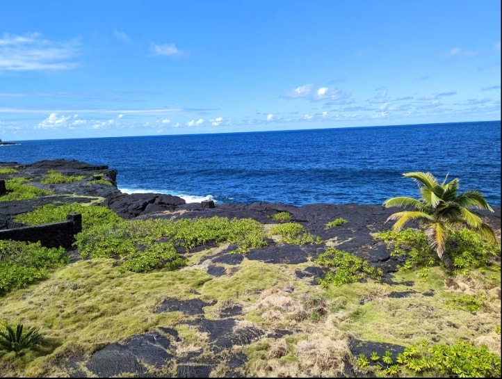 Black lava shoreline with vibrant green tropical vegetation and deep blue Pacific Ocean under clear sky