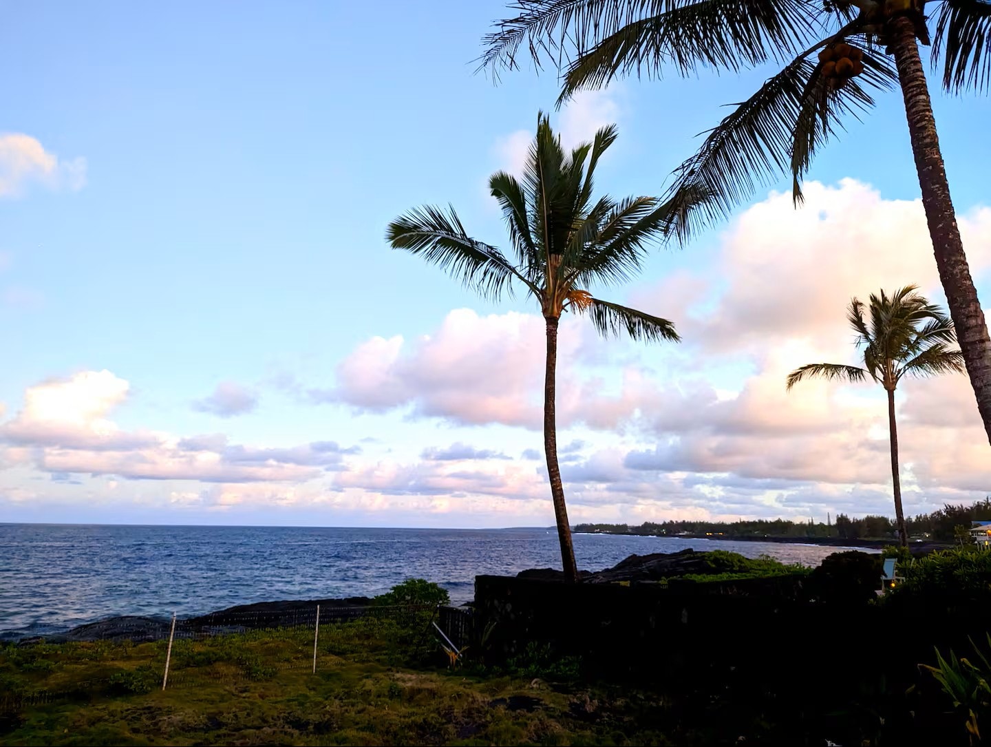 Palm trees swaying at golden hour along the lava coastline with calm Pacific Ocean and pastel sky