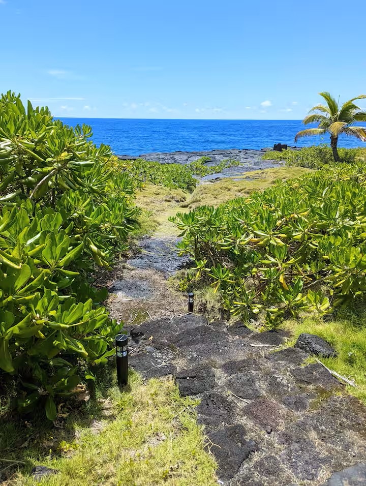 Direct ocean access from the property